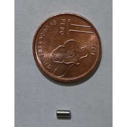 2 x 4 mm Neodimio imán...