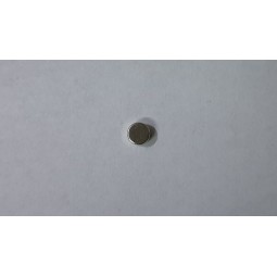 5 x 3 mm Neodimio imán...